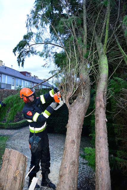 2013/326/GB 20131224a 004 Kam Onneslaan stormschade.jpg